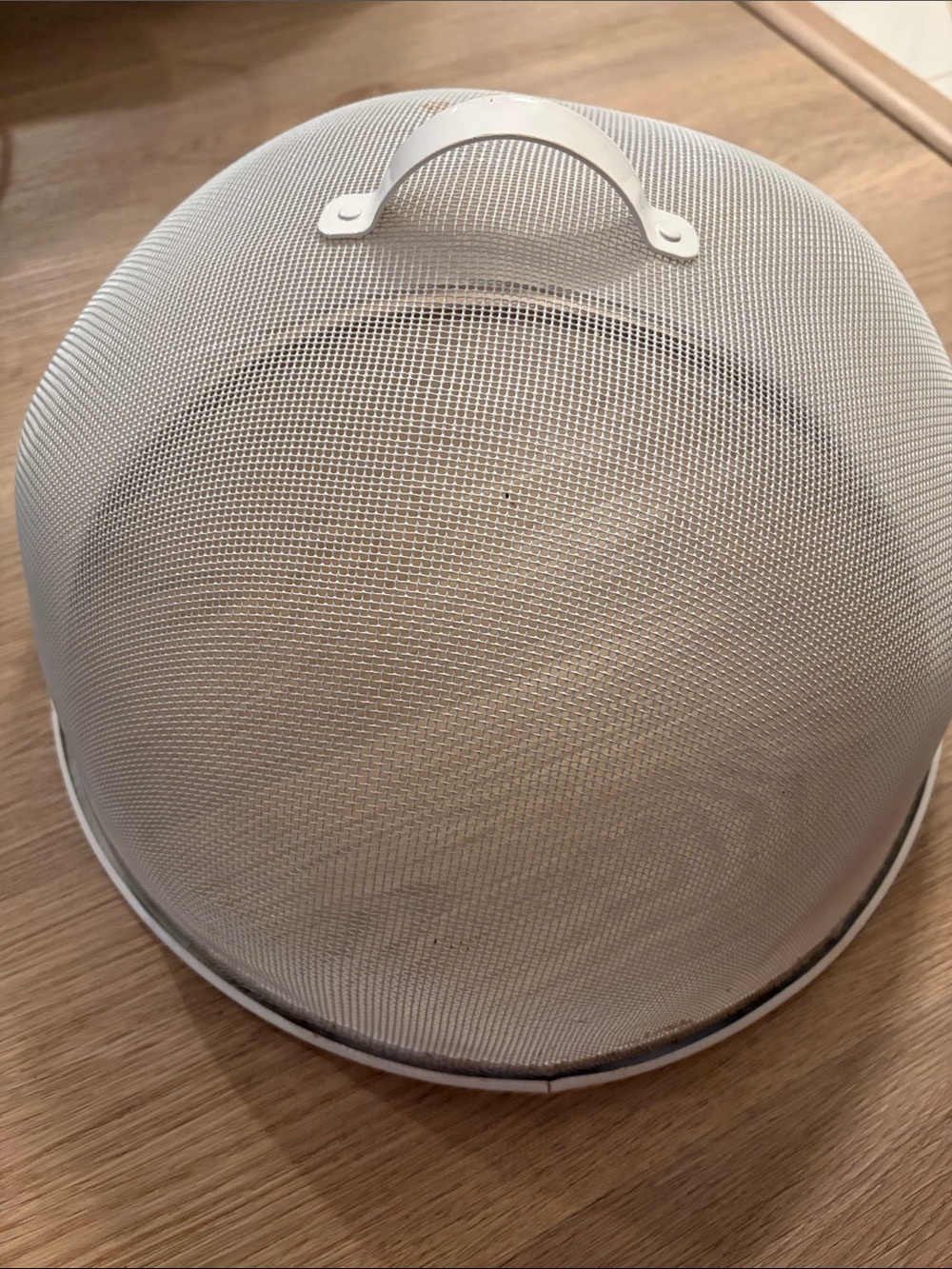 Target White Mesh Food Dome Cover